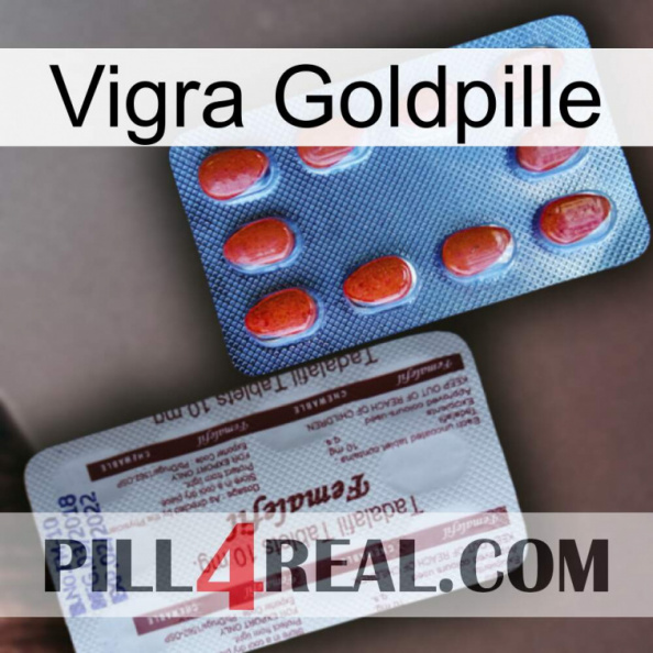 Vigra Gold Pill 36.jpg